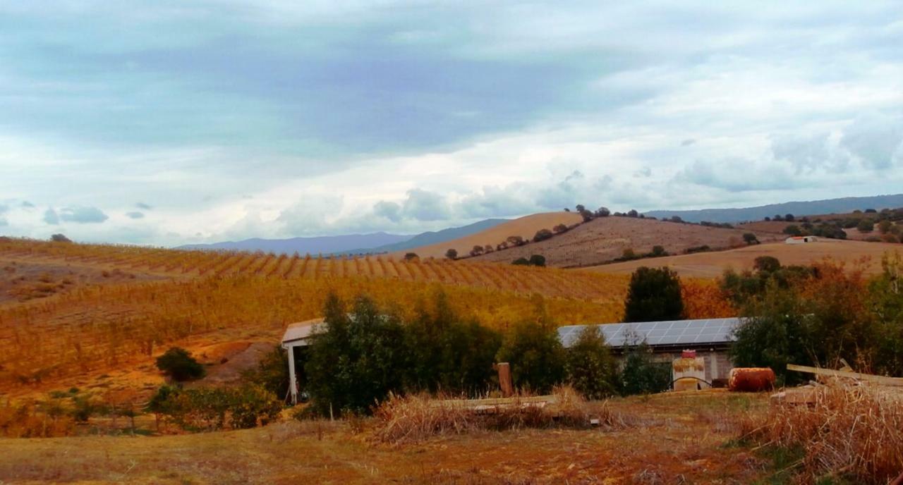 Agriturismo Il Cantiniere Гросето Екстериор снимка