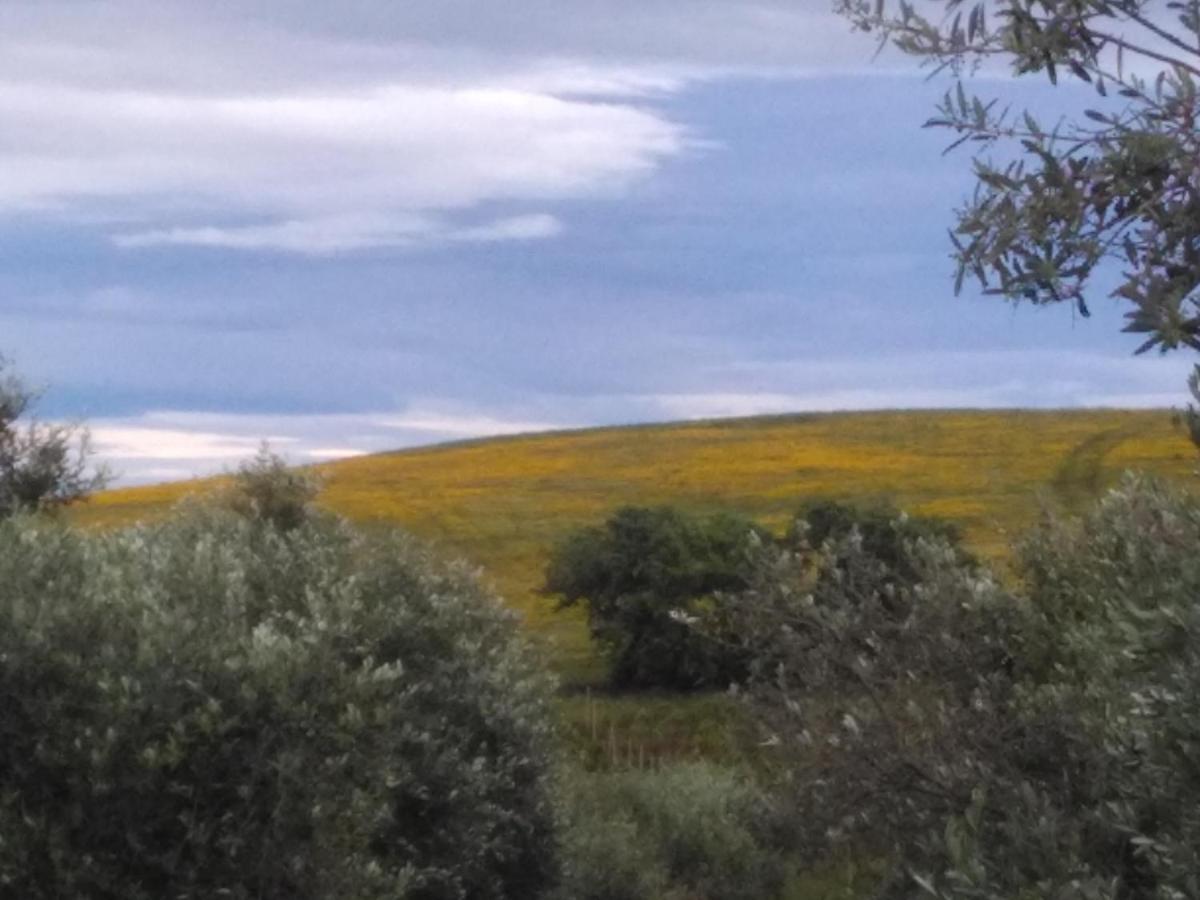 Agriturismo Il Cantiniere Гросето Екстериор снимка